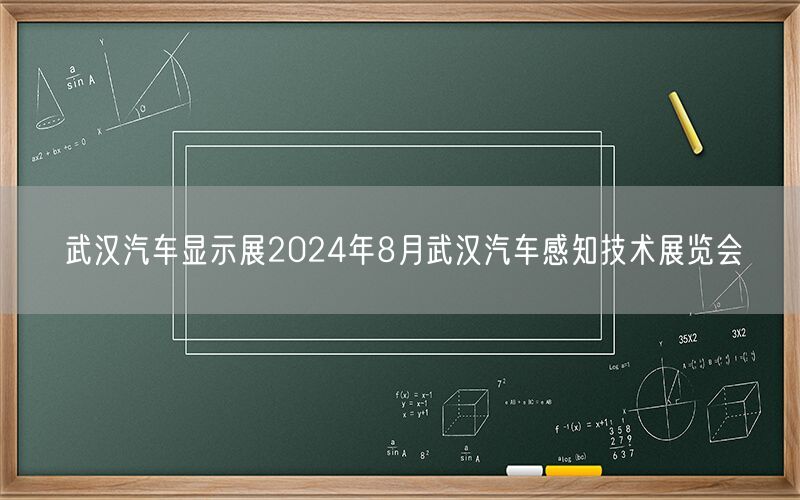 武汉汽车显示展2024年8月武汉汽车感知技术展览会