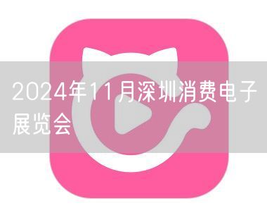 2024年11月深圳消费电子展览会